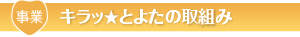キラッ☆とよたの取組み